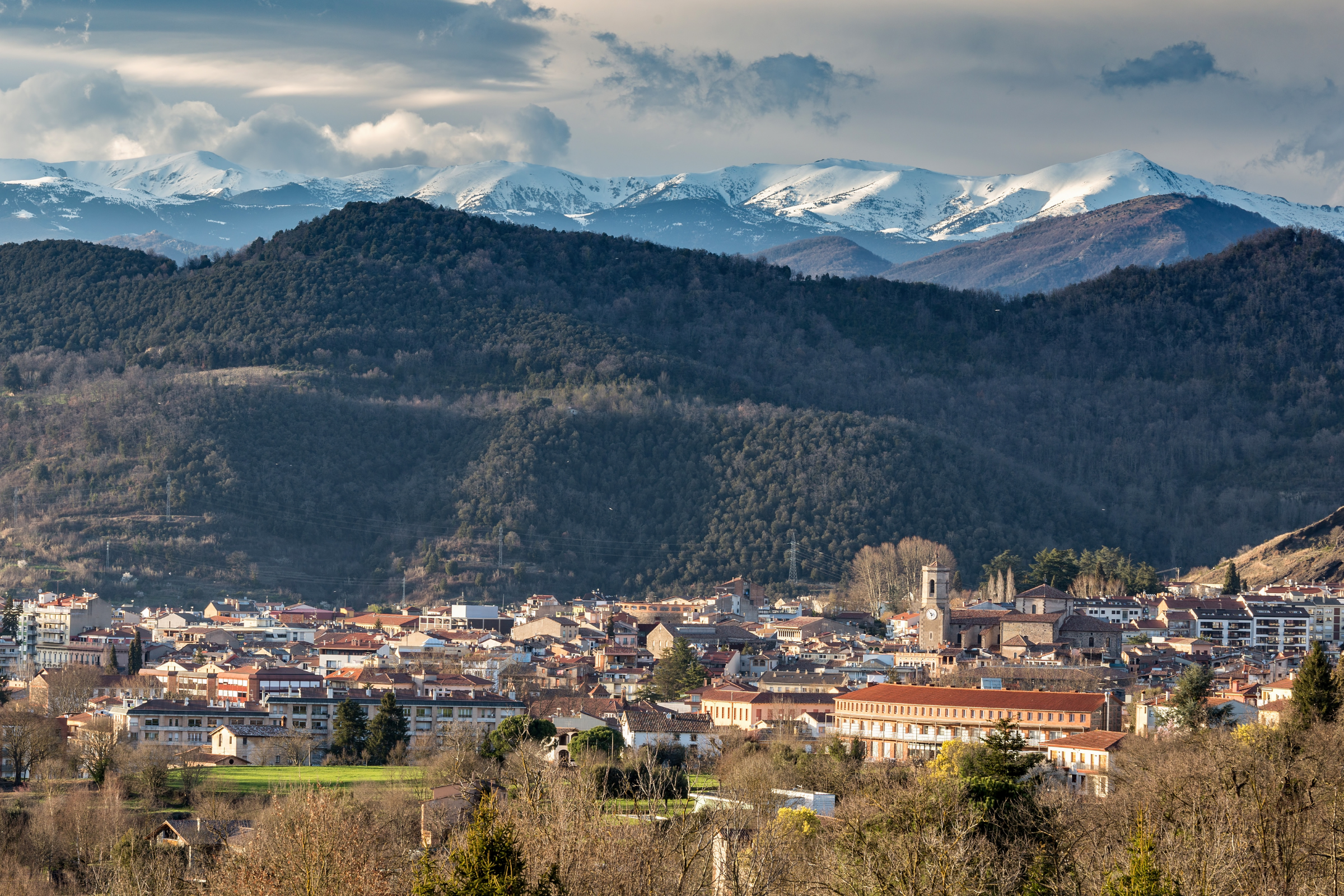 olot 04.webp